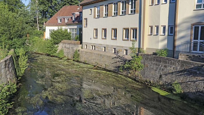 Trockenheit im Landkreis Kronach: Niedrigstwert beim Grundwasser