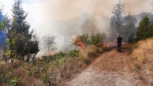Wald brennt in Pressig: Polizei sucht nach Brandstiftern