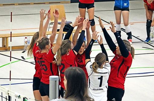 Durften in Würzburg drei Satzgewinne bejubeln: die Volleyballerinnen der Turnerschaft Kronach Foto: TSK/Neue Presse