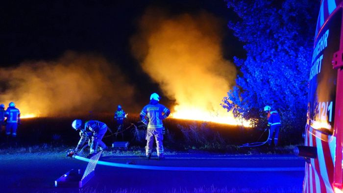 Zwei Meter hohe Flammen: Großer Flächenbrand in Region