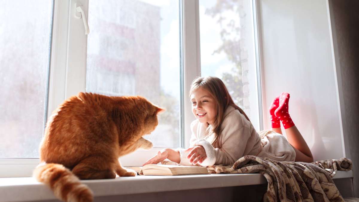 Wenn das Haustier verschwindet: Sich  das Leben im Katzenhimmel auszumalen, kann Kindern helfen