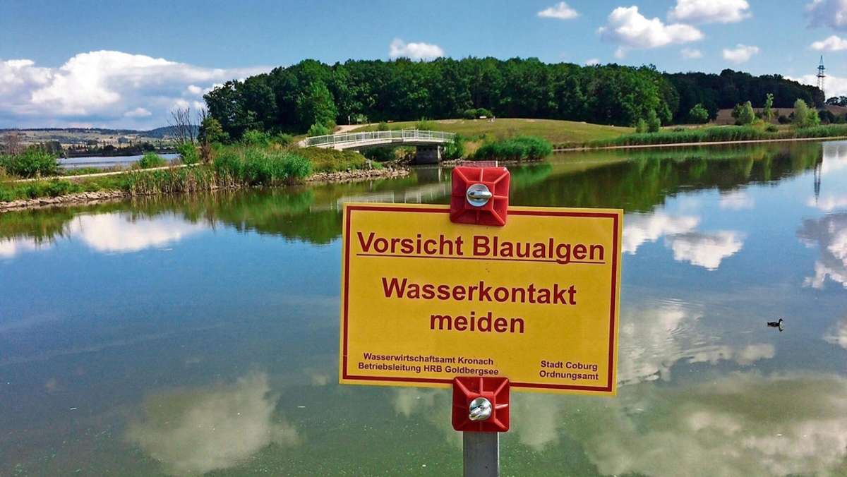 Neuses an den Eichen/Coburg: Warnung vor Blaualgen am Goldbergsee