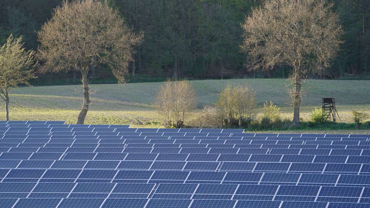 Erneuerbare Energien: Sonnefeld setzt auf Kraft der Sonne