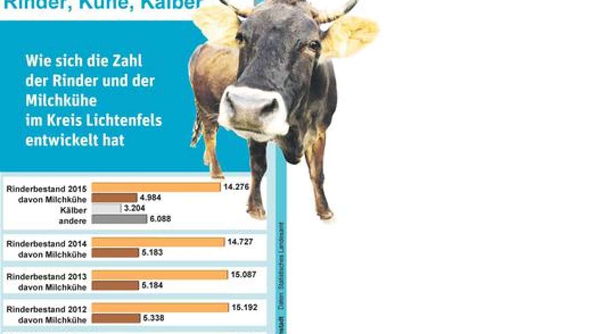 Lichtenfels: Rindviecher im Landkreis werden weniger