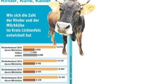 Rindviecher im Landkreis werden weniger