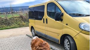 Belohnung für Zeugen: Wer hat den Tierheim-Bus zu Schrott gefahren?