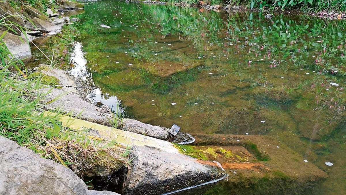 Wallenfels: Flößern fehlen fünf Zentimeter Rodach-Wasser