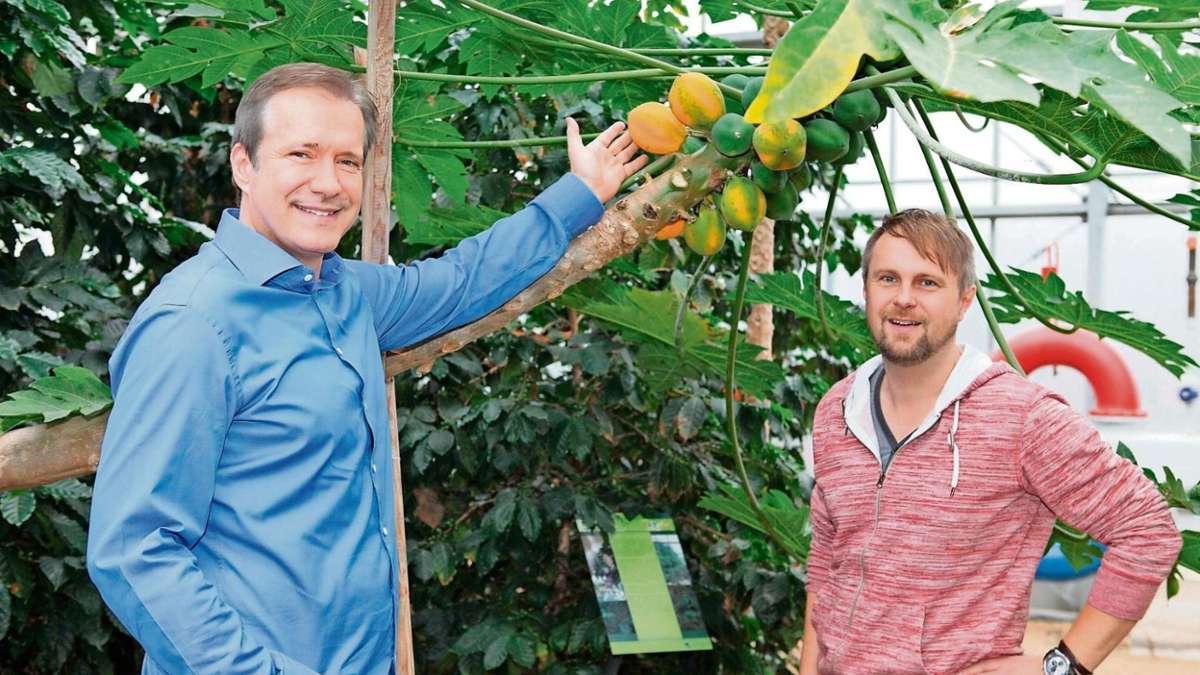 Coburg: Sternekoch Herrmann steht auf fränkische Papayas