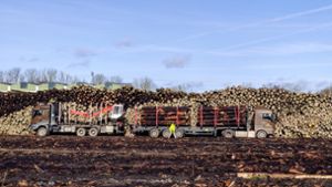 Rödental: Staatsforsten räumen Holz-Lager
