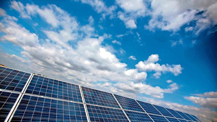 Imker kritisieren Solarpark-Pläne