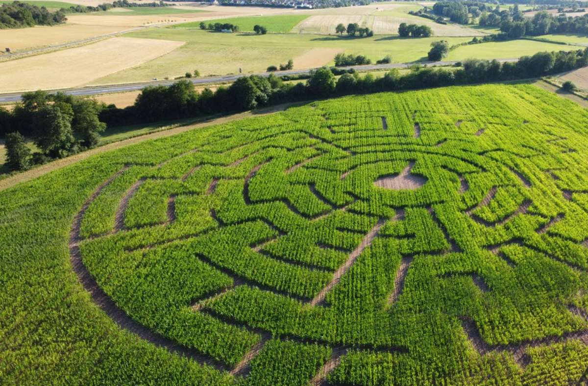 Das neue Maislabyrinth von oben.