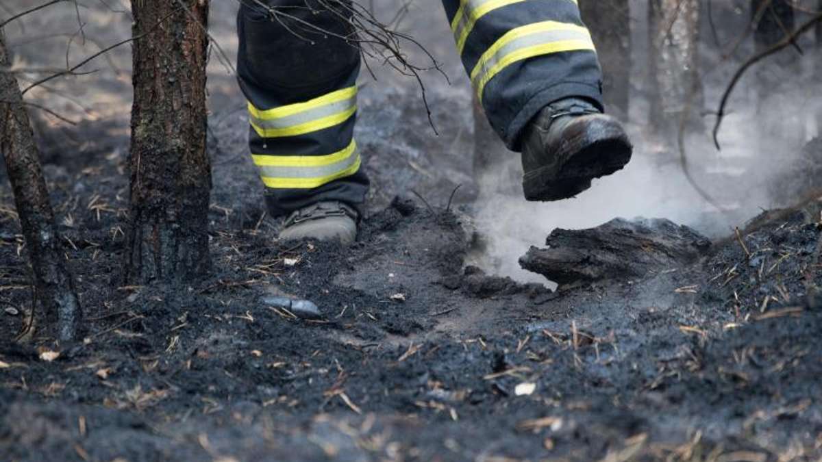 Kronach: Asche im Wald entsorgt: 50 Feuerwehrleute im Einsatz