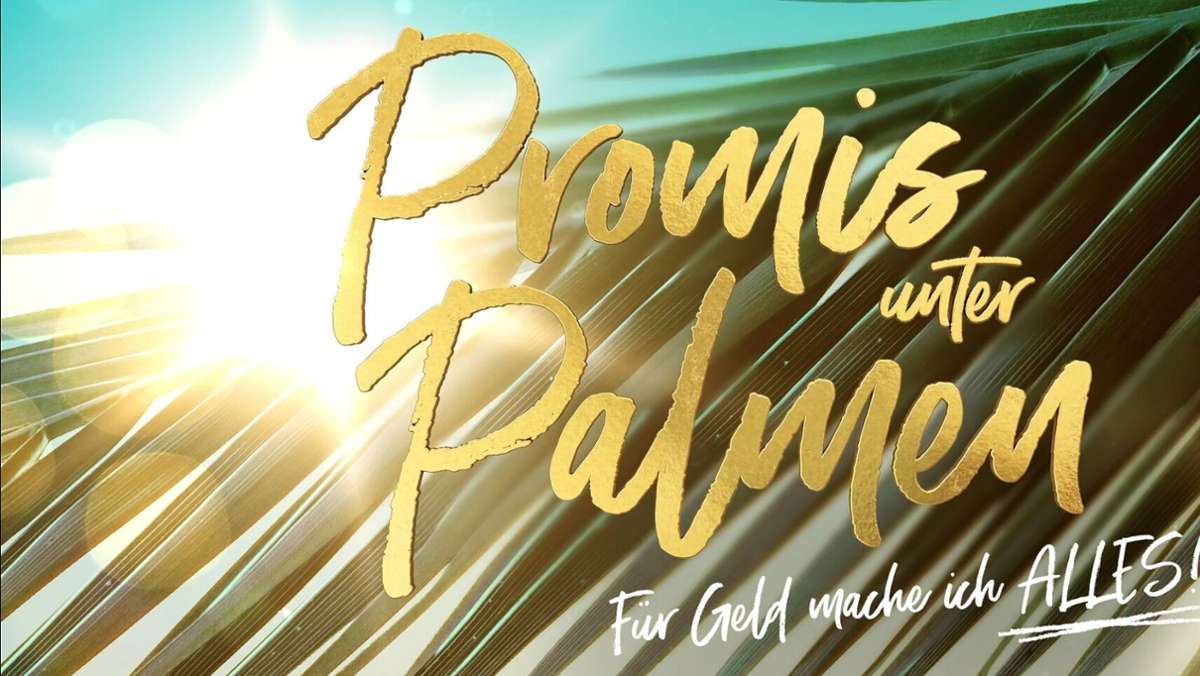 „Promis unter Palmen“  2021: Aus diesen Formaten kennt man die Kandidaten der zweiten Staffel