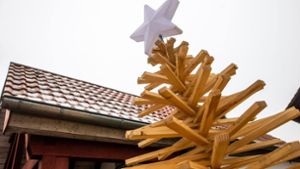 Aufreger in Ahlstadt: Dieser Baum sorgt für Diskussionen
