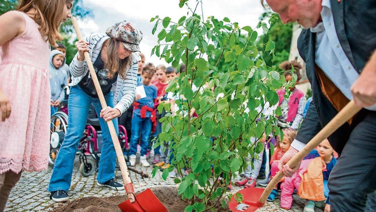 Coburg: Baum erinnert an Aktivistin