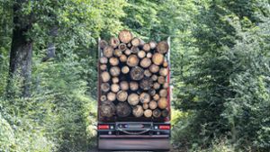 Holz-Gigant pocht auf Nachhaltigkeit