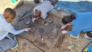 Archäologie: 6800 Jahre altes Skelett in Niederbayern ausgegraben