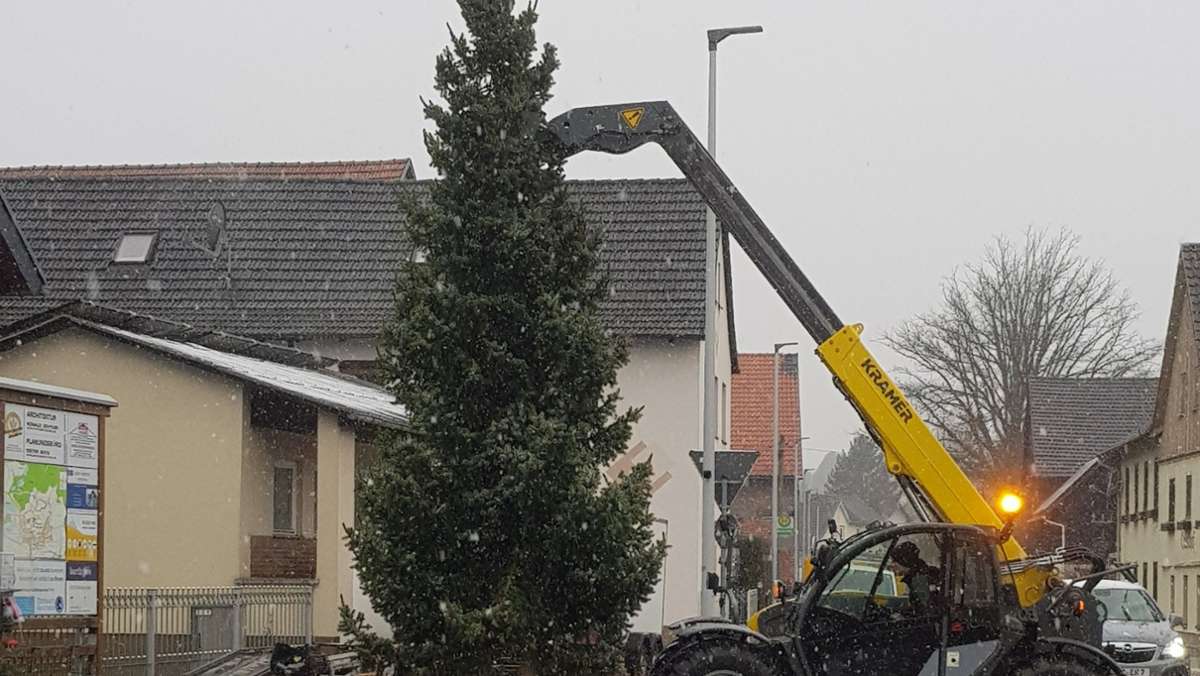 Per Social-Media-Aufruf zum Weihnachtsbaum: Happy-End in Beiersdorf