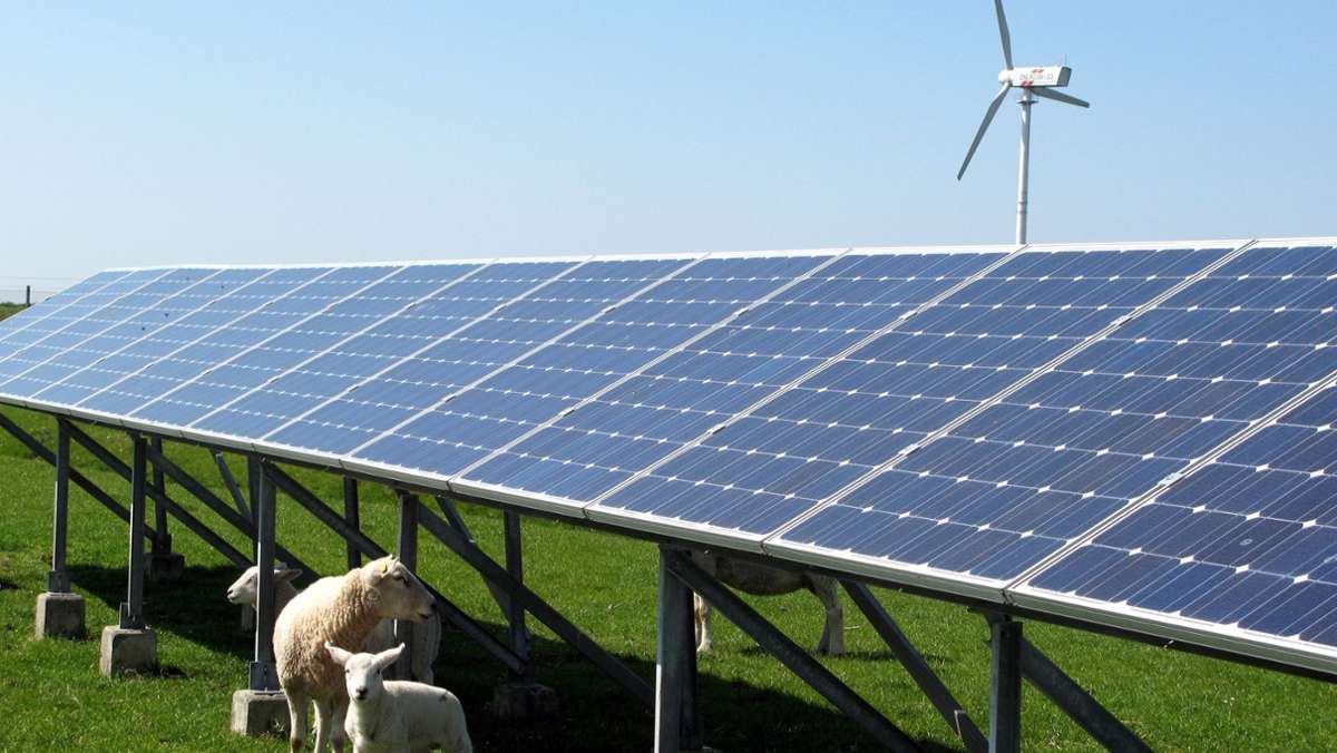 Pilotprojekt in Rögen: Landwirt setzt auf Sonnenlicht und Schafe