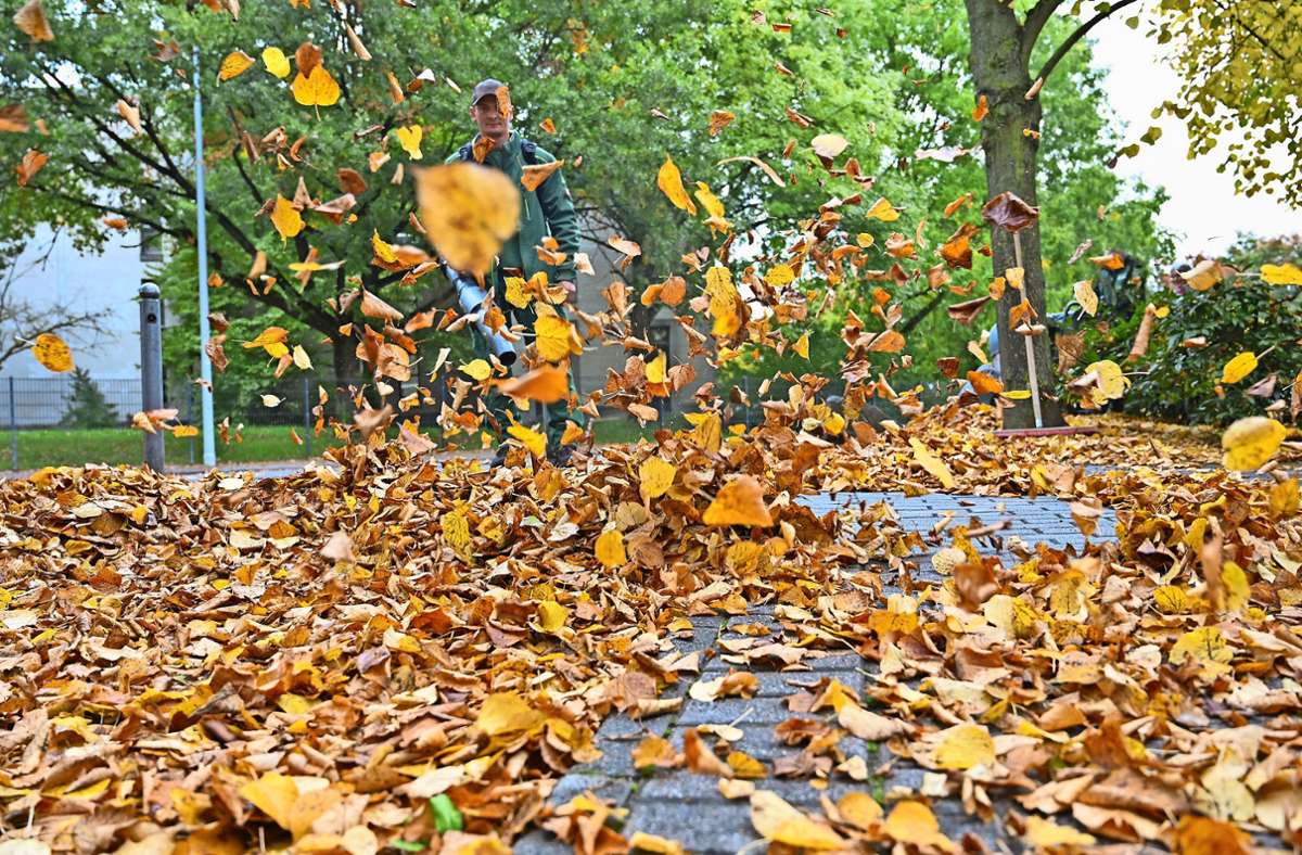 Laubbläser haben im Herbst Hochkonjunktur. Foto: Huk Coburg
