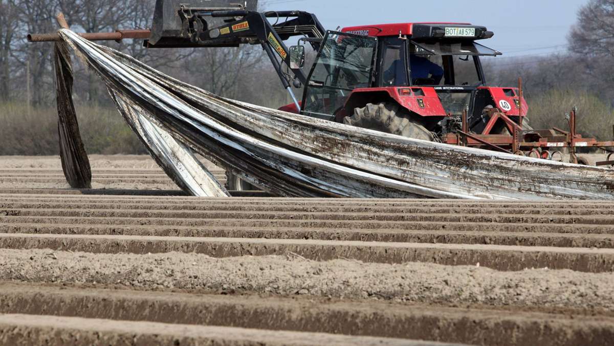 Spargelfeld in Niedersachsen: Arbeiter während Nickerchen von Erntemaschine überfahren