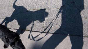 Offenbar mit Waffe: Hundebesitzer bedroht Teenager in Coburg