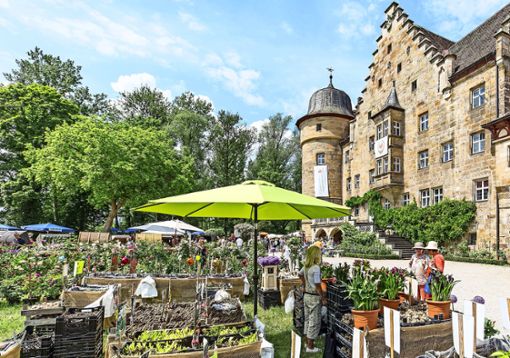 Schloss Eyrichshof lädt heuer an vier Tagen zum Gartenfest. Foto: Rudolf Hein/NP Archiv