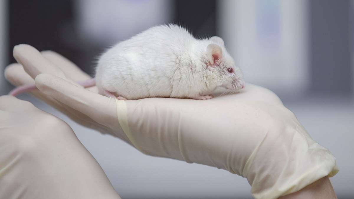 Tierversuche: Tod im Namen der Wissenschaft