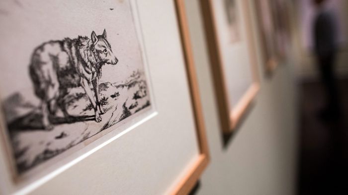 Die Schau zum Tier - Museum erforscht das schlechte Image des Wolfs