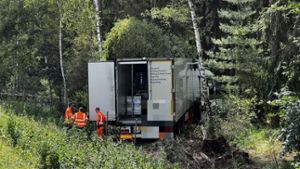 Fahrer kämpft mit Biene: Lastwagen rast von A73 in den Wald