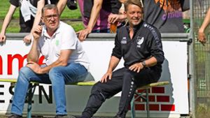 Fußball-Landesliga: Friesen will für Klarheit sorgen