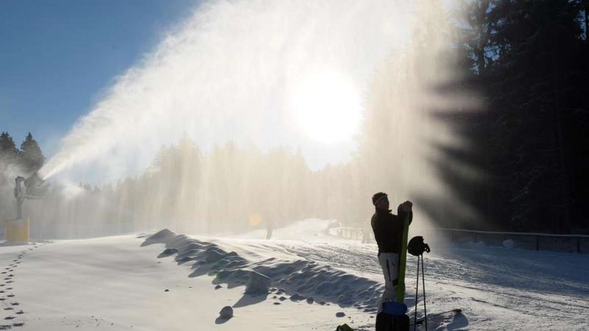 Bayreuth: Zu viel Schnee: Forstarbeiter fällen Bäume in Skigebiet