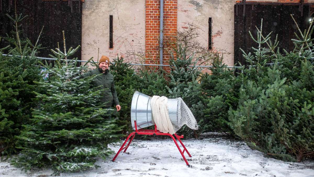 Trend zum Weihnachtsbaum schon im Advent: Coburger Händler starten in die Saison