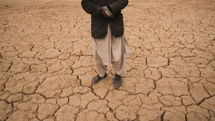 Klima-Studie: Extreme Dürre in Europa alle 20 Jahre zu erwarten