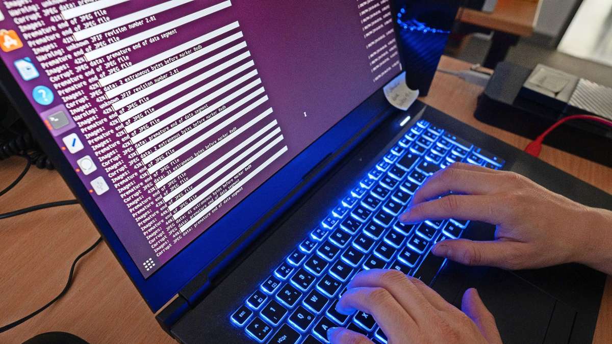 Cybercrime: Millionenschaden durch Phishing