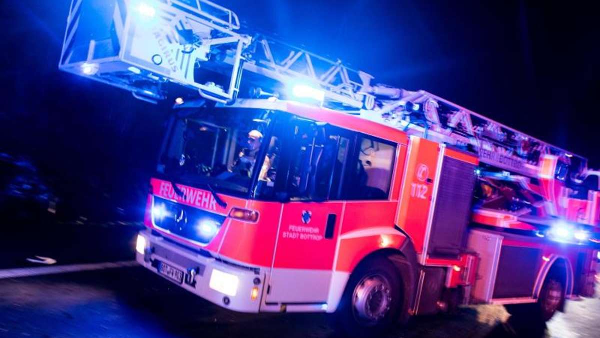 Weißenbrunn: Brandstifter gesucht: Holzlager stand in Flammen