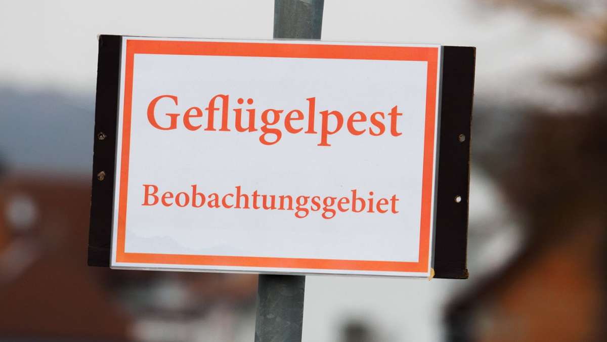 Landkreis Haßberge: Erneut ein Fall von Geflügelpest