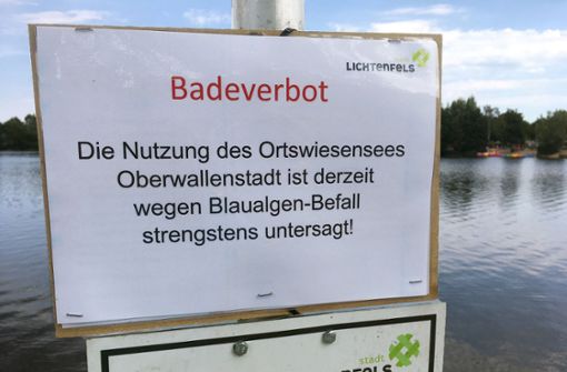 Baden im Ortswiesensee in Lichtenfels ist derzeit verboten. Foto: M. Fleischmann