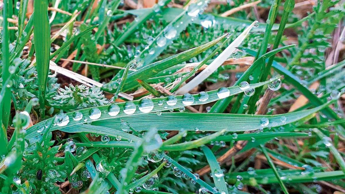 Coburg: Regen bringt Entspannung für die Pegelstände