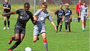 Doc-Hajo-Cup beim FC Kronach: Ein Festival des Nachwuchsfußballs