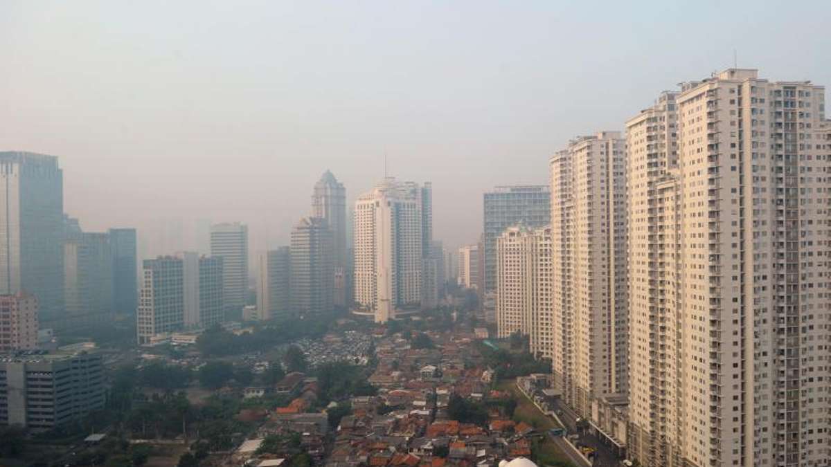Aus für Jakarta: Indonesien will neue Hauptstadt im Dschungel