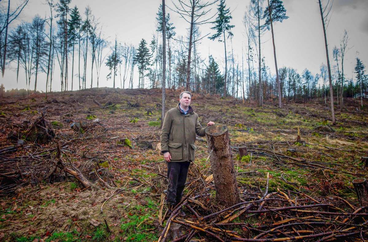 Prinz Hubertus auf einer der  abgeholzten Käferflächen. Hier soll ein gesunder Mischwald nachwachsen.