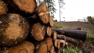 5,9 Millionen Kubikmeter Schadholz aus Wäldern geräumt
