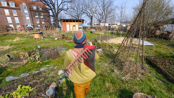 Urban Gardening in Coburg: Grüne wollen mehr Nutzgärten in der Stadt