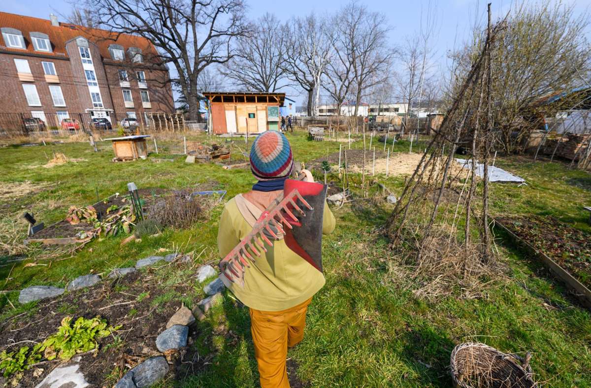 Die Grünen-Stadtratsfraktion fordert, in Coburg ein Projekt „Urban Gardening“ zu starten, wie es im Dresdner Stadtteil  Pieschen bereits praktiziert wird. Foto: picture alliance/dpa/dpa-Zentral/Robert Michael