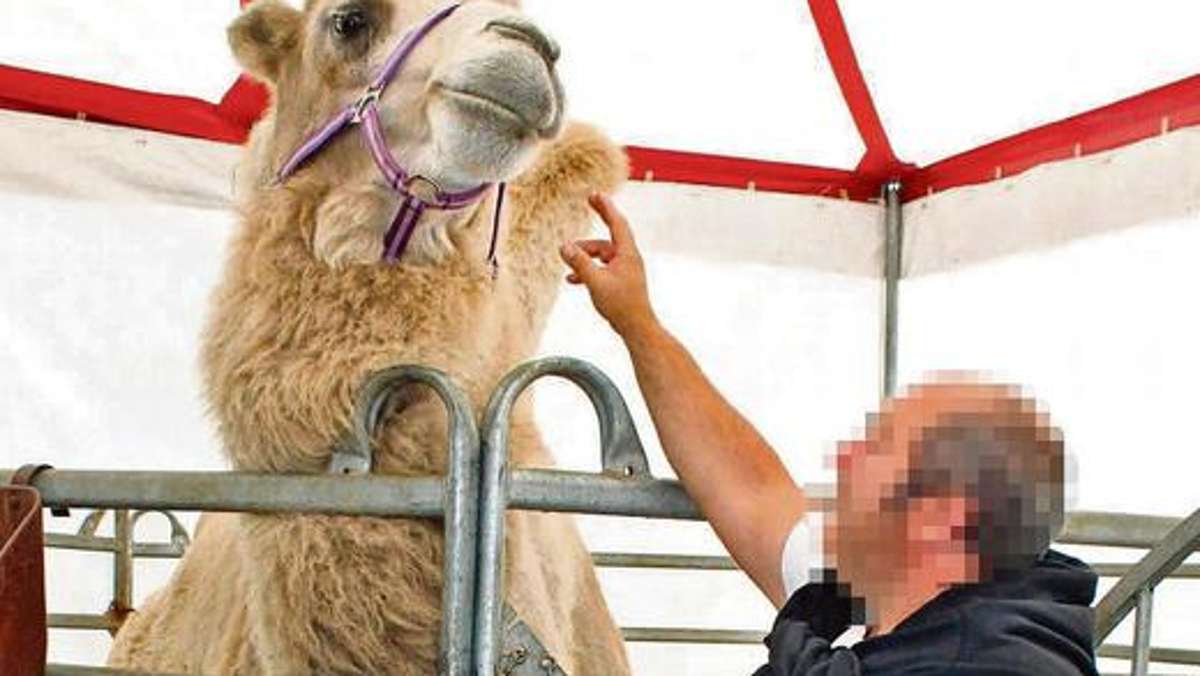 Länderspiegel: Artisten hausten im Kamel-Verschlag