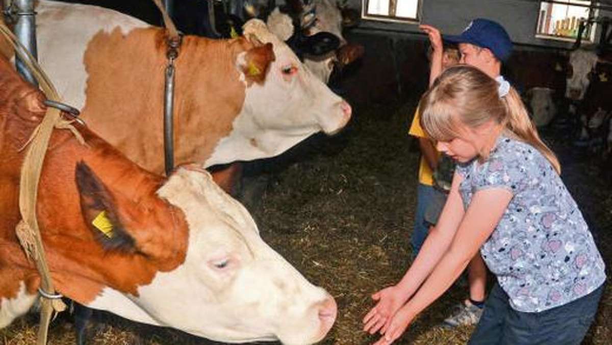 Kronach: Der lange Weg zur frischen Milch