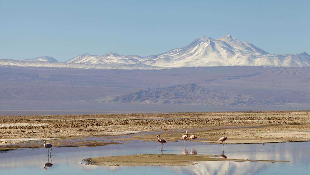 Reiseziel Atacamawüste: Außerirdisch