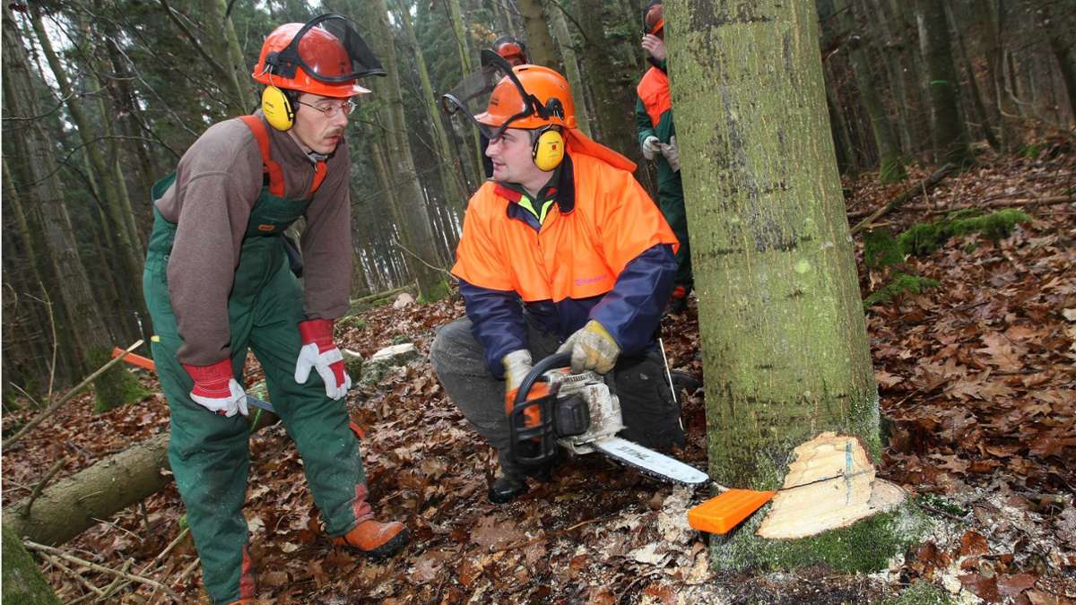 Kronach: Nur eine Waldbesitzervereinigung bleibt übrig