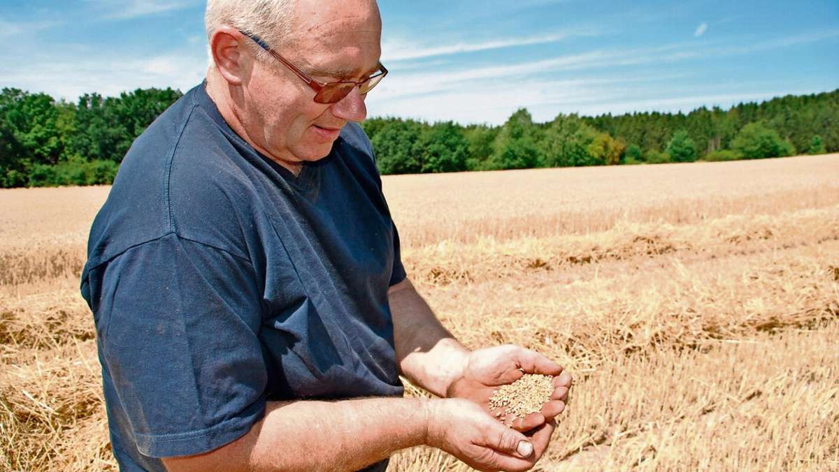 Kronach: Landwirte erwarten durchwachsene Ernte